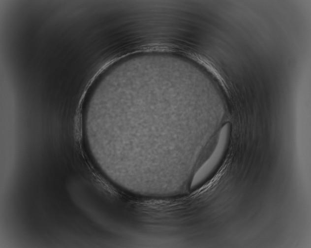 X0000095671075200801291132