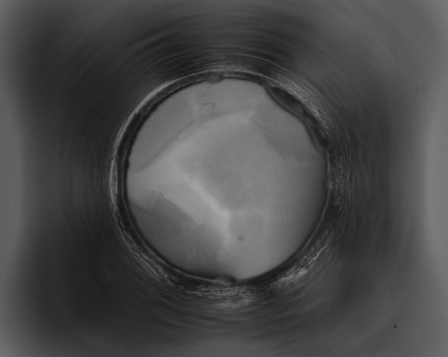 X0000095671076200801291132