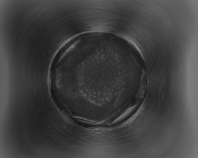 X0000095671077200801291132