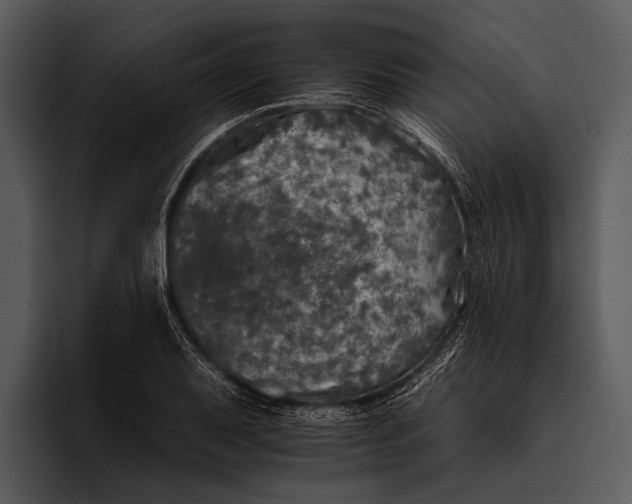 X0000095671079200801291132