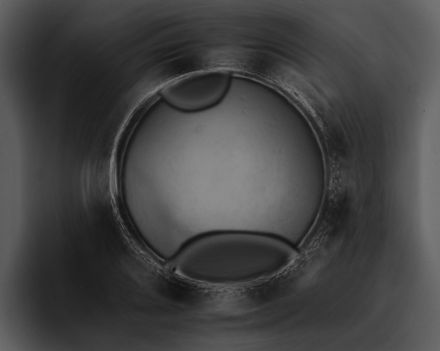 X0000095671080200801291132