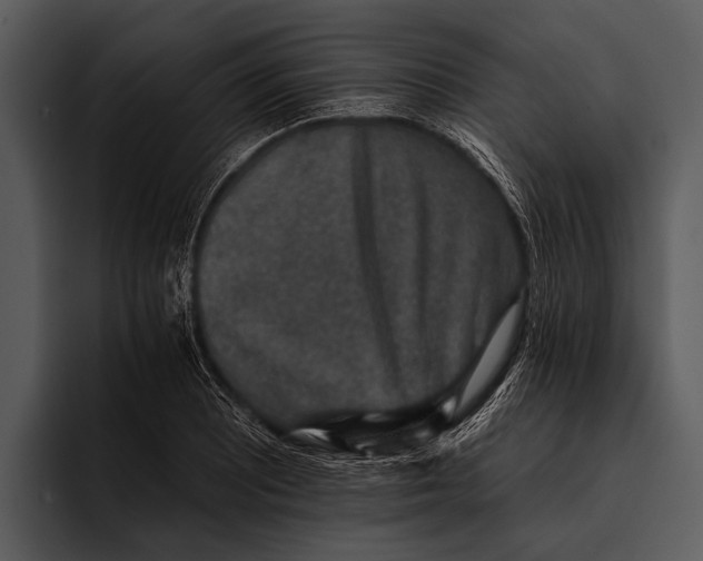 X0000095671081200801291132