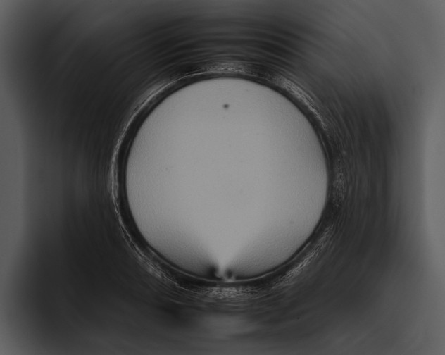 X0000095671082200801291132