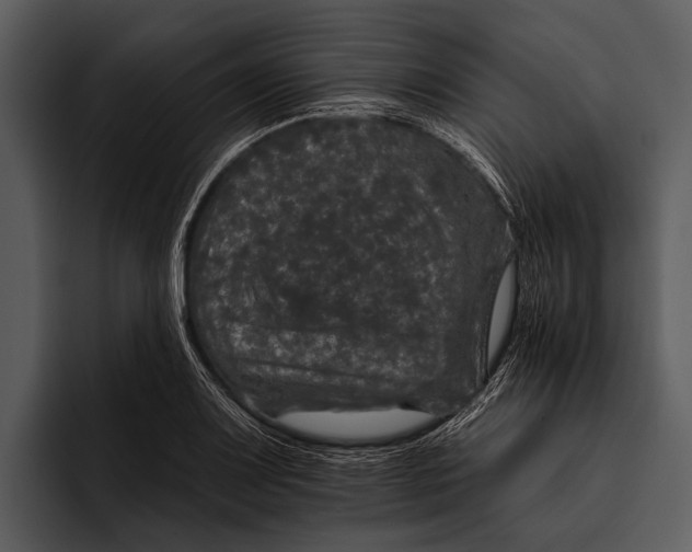 X0000095671083200801291132