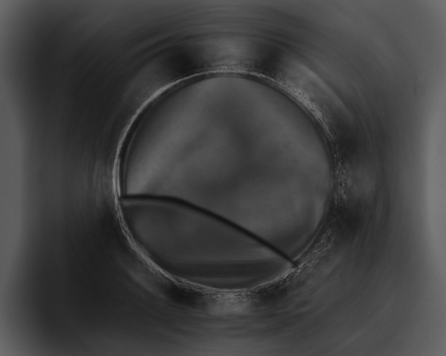 X0000095671084200801291132