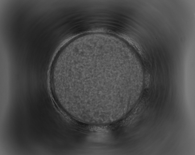 X0000095671086200801291132