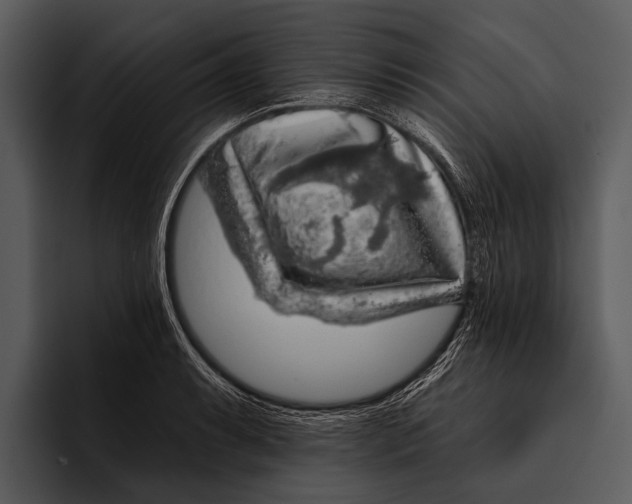 X0000095671087200801291132