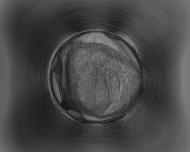 X0000095671088200801291132