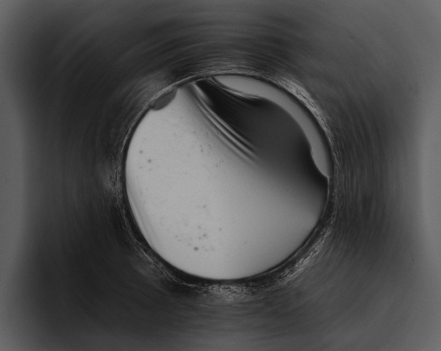 X0000095671089200801291132