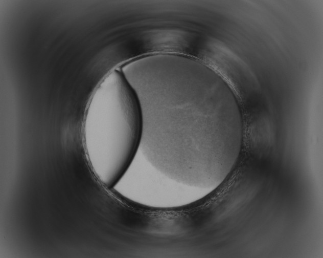 X0000095671092200801291132