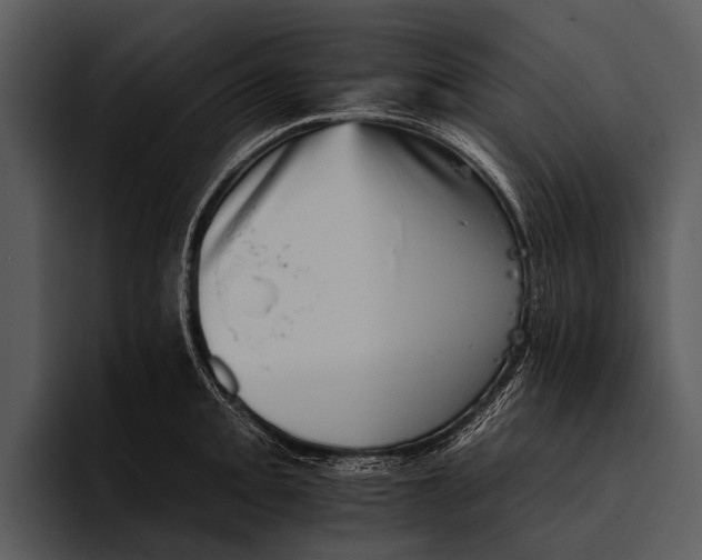 X0000095671093200801291132