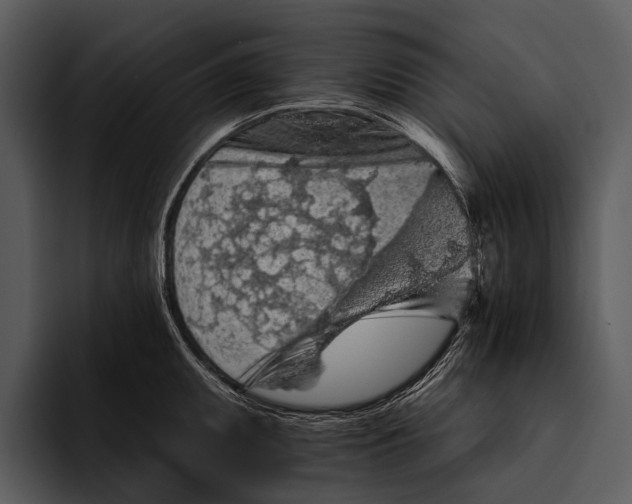 X0000095671095200801291132