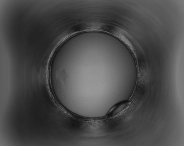 X0000095671096200801291132