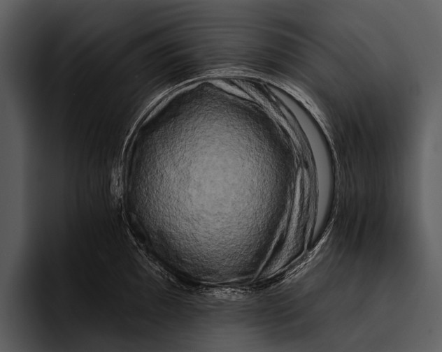 X0000095671097200801291132