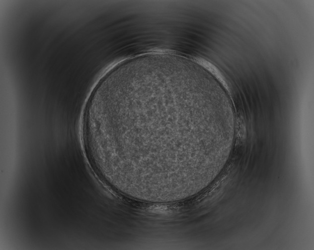 X0000095671098200801291132