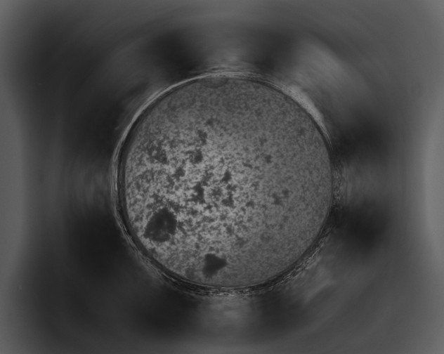 X0000095671099200801291132