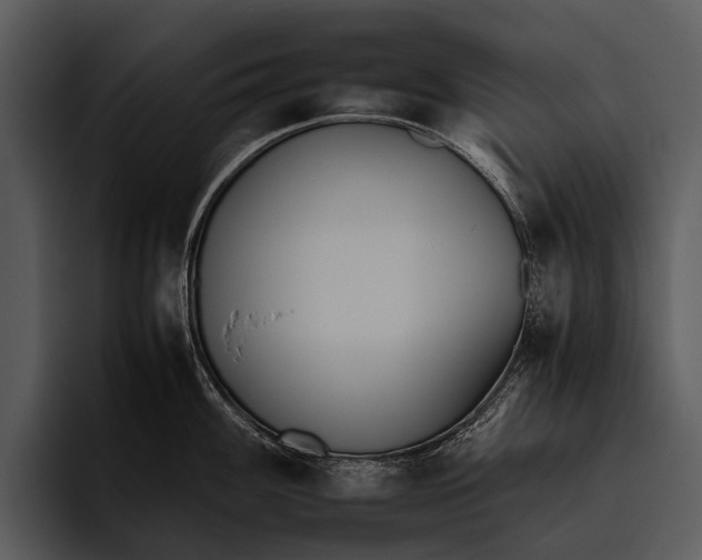 X0000095671100200801291132