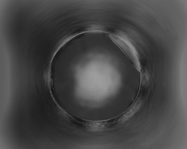 X0000095671101200801291132