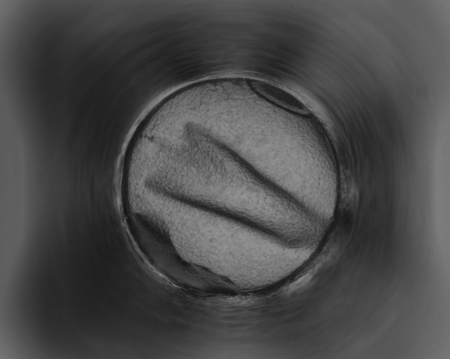 X0000095671102200801291132