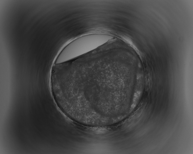 X0000095671103200801291132