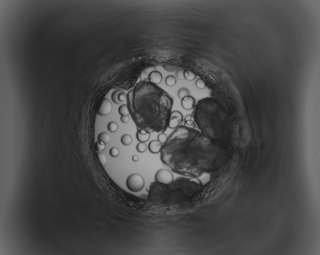 X0000095671105200801291131