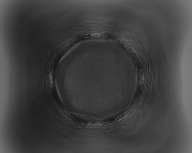 X0000095671106200801291131