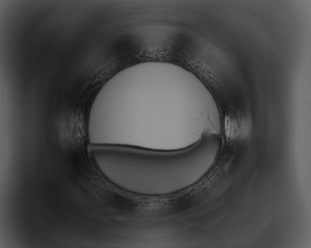 X0000095671107200801291131