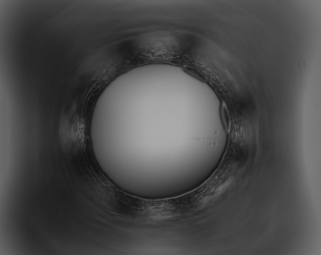 X0000095671108200801291131