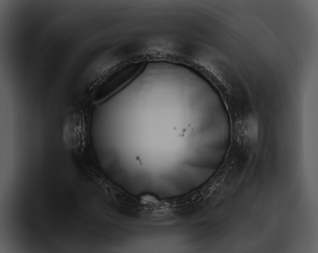 X0000095671111200801291131