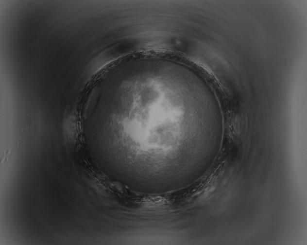 X0000095671112200801291131