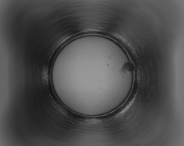 X0000095671113200801291131