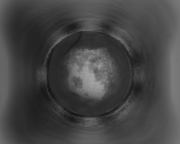 X0000095671114200801291131