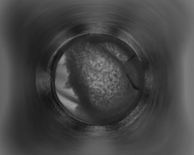 X0000095671115200801291131