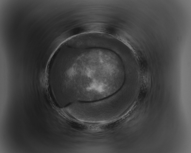 X0000095671116200801291131