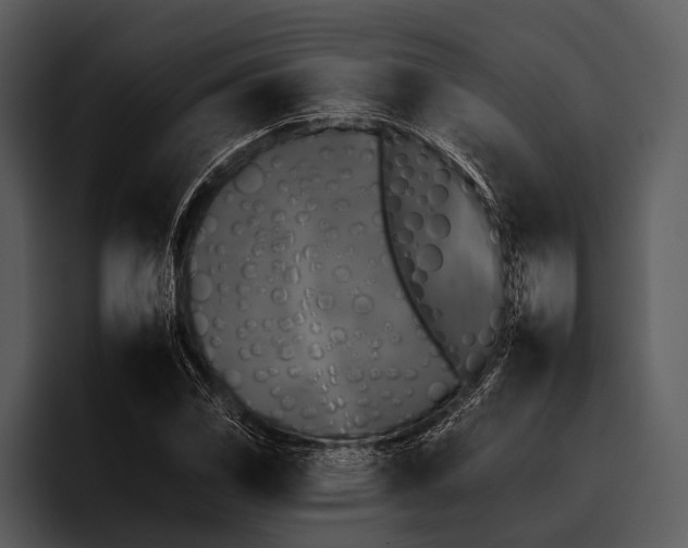 X0000095671117200801291131