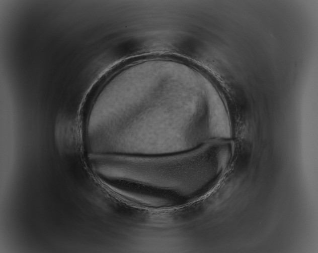 X0000095671118200801291131