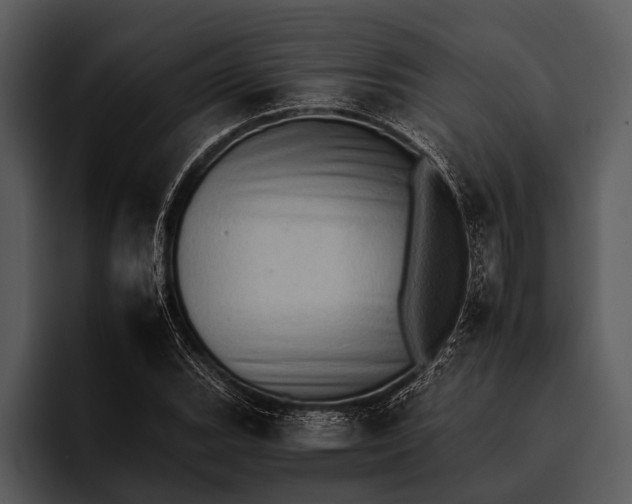 X0000095671119200801291131