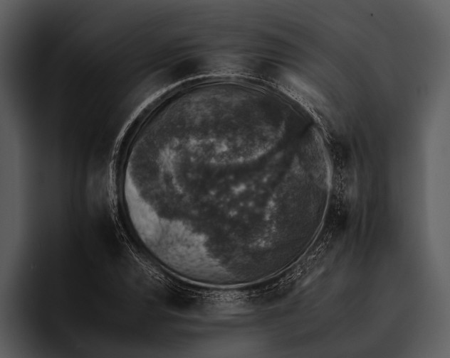 X0000095671120200801291131