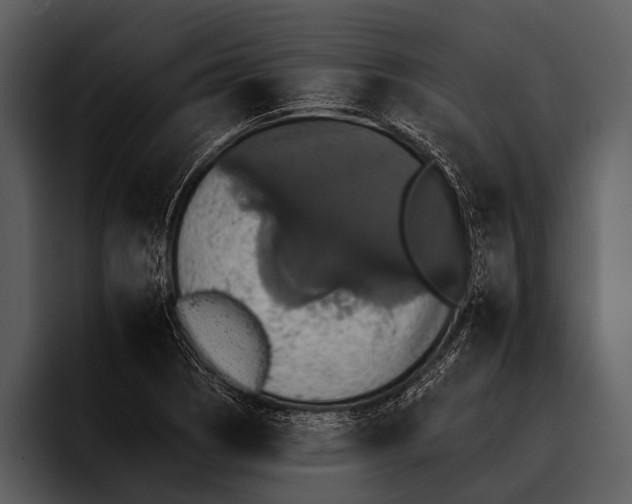 X0000095671121200801291131