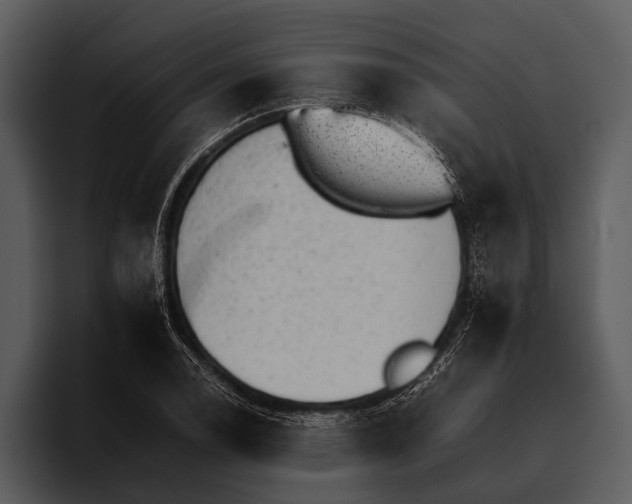 X0000095671122200801291131