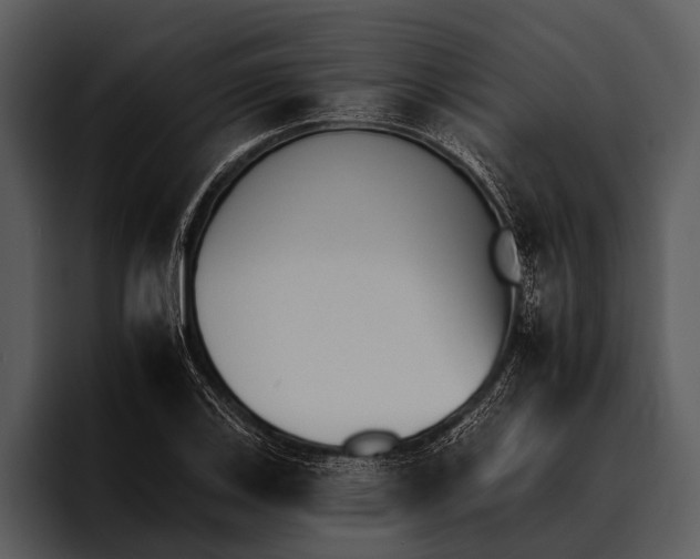 X0000095671123200801291131