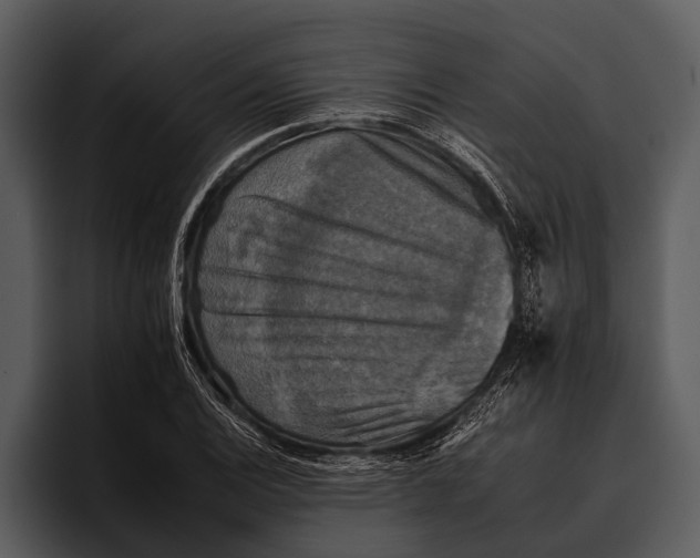 X0000095671124200801291131