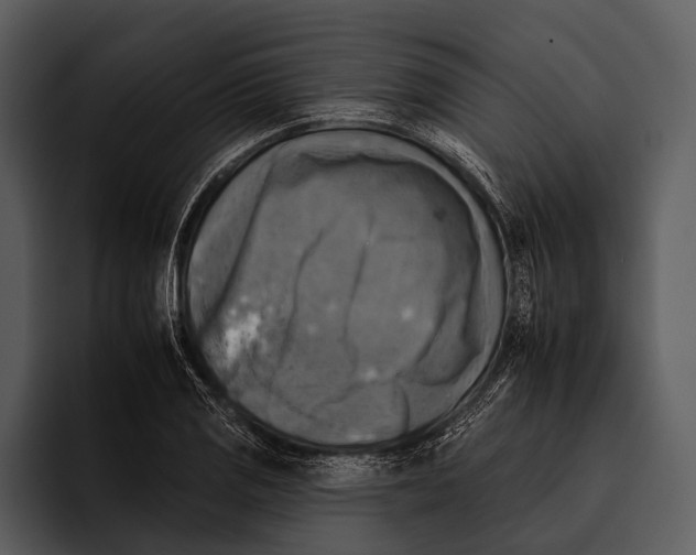 X0000095671125200801291131