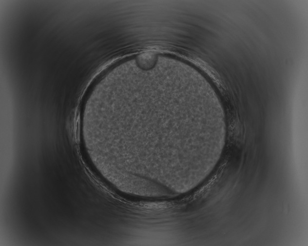 X0000095671126200801291131