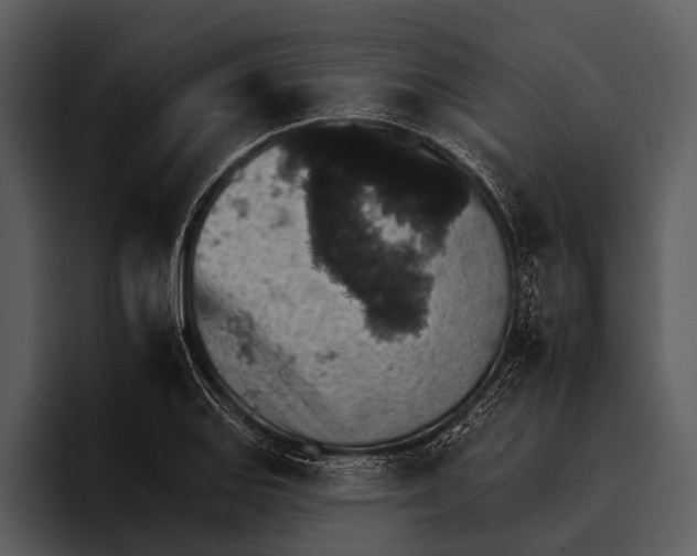 X0000095671127200801291131