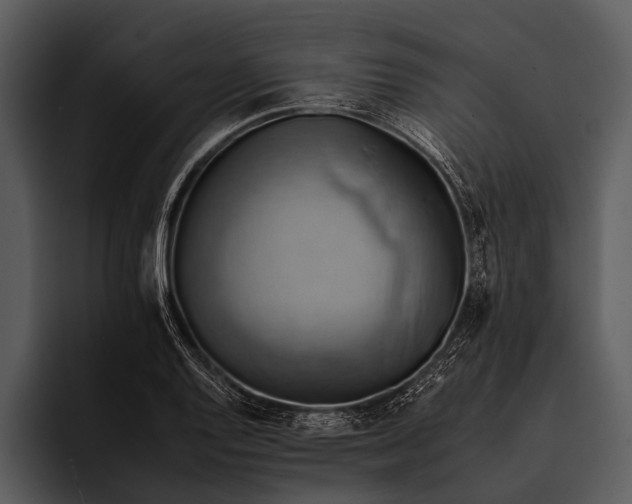 X0000095671128200801291131