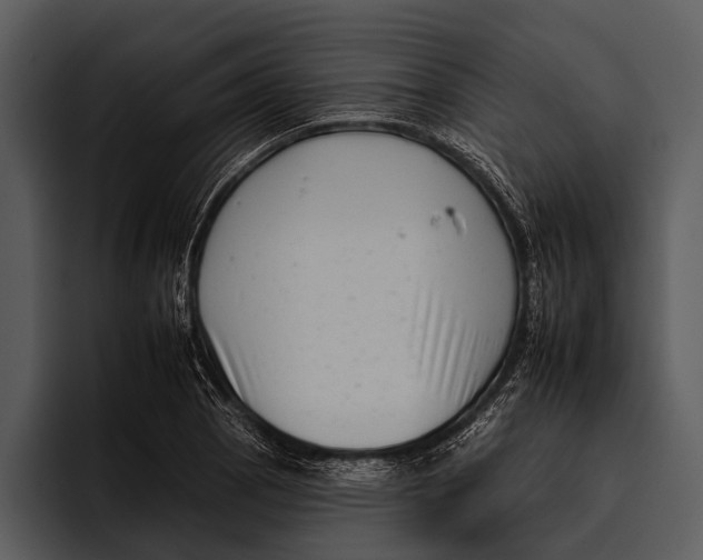 X0000095671129200801291131