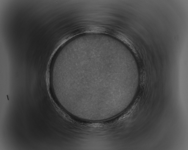 X0000095671130200801291131