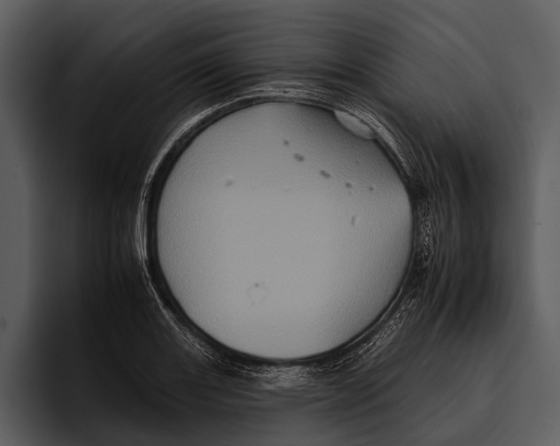 X0000095671131200801291131