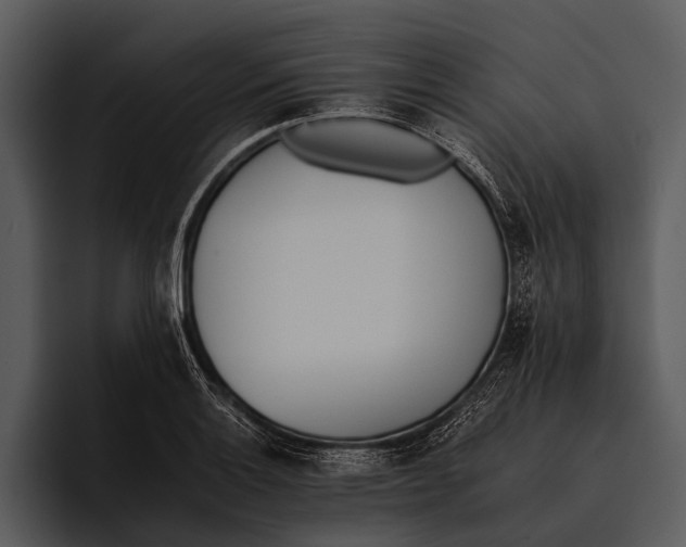 X0000095671132200801291131